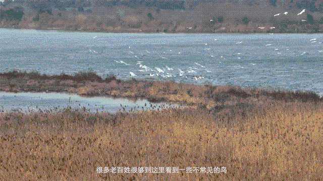 3.gif